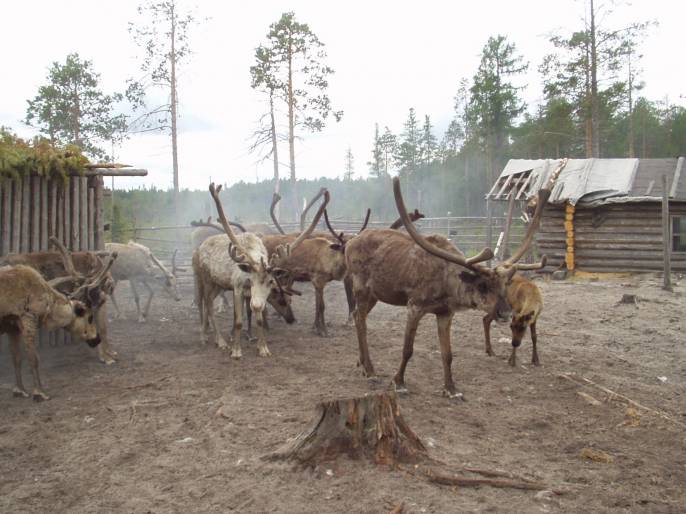 ����������- � �����