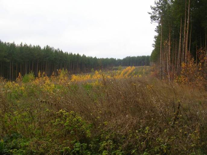 ����������-���