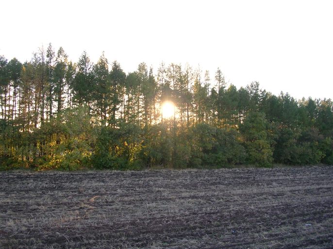 ����������-������