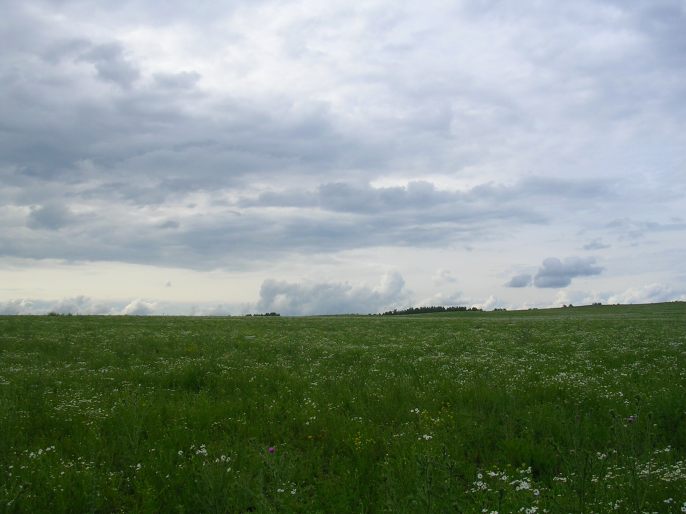 ����������-����