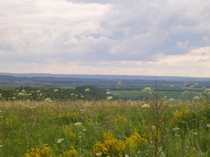 ����������-�������!