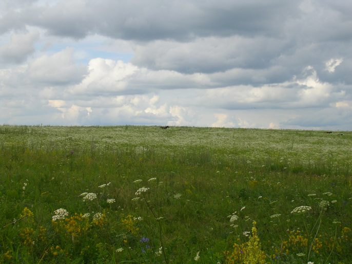 ����������-������