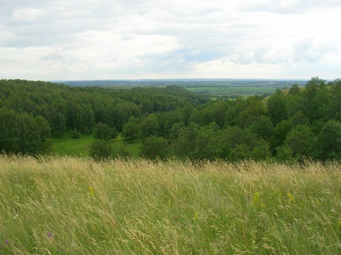 ����������-����