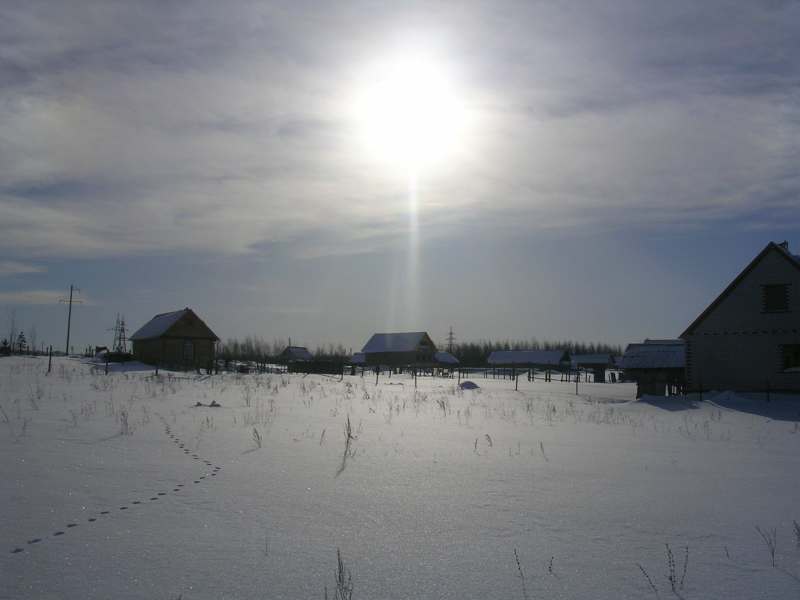 ����������-Free!!!