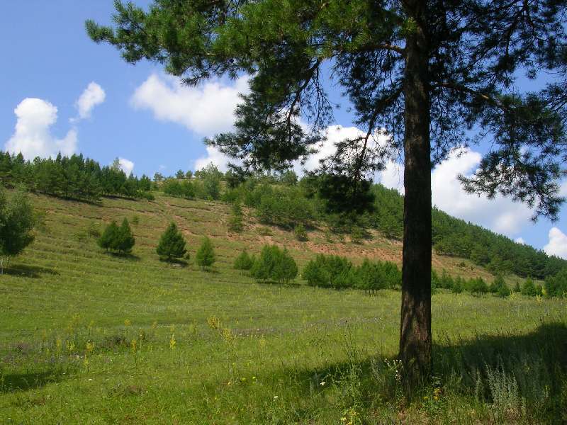 ����������-����1