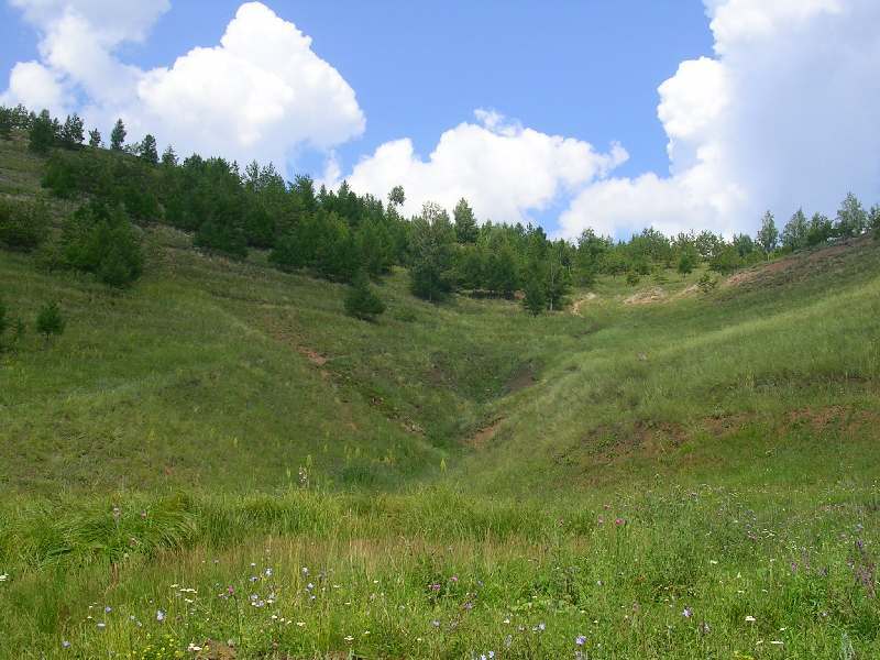 ����������-�������� � �������