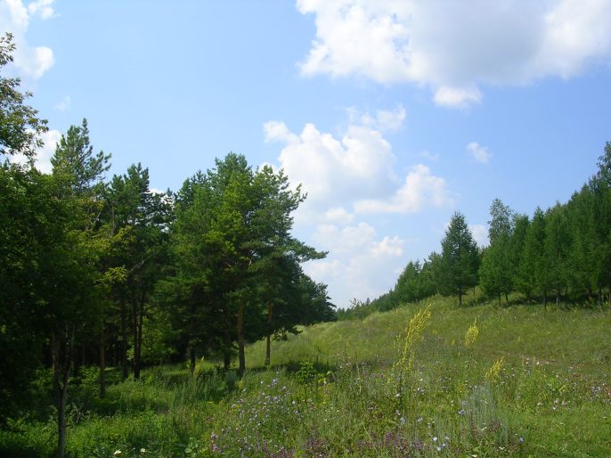 ����������-� �����