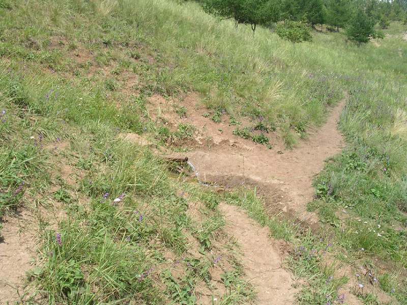 ����������-������