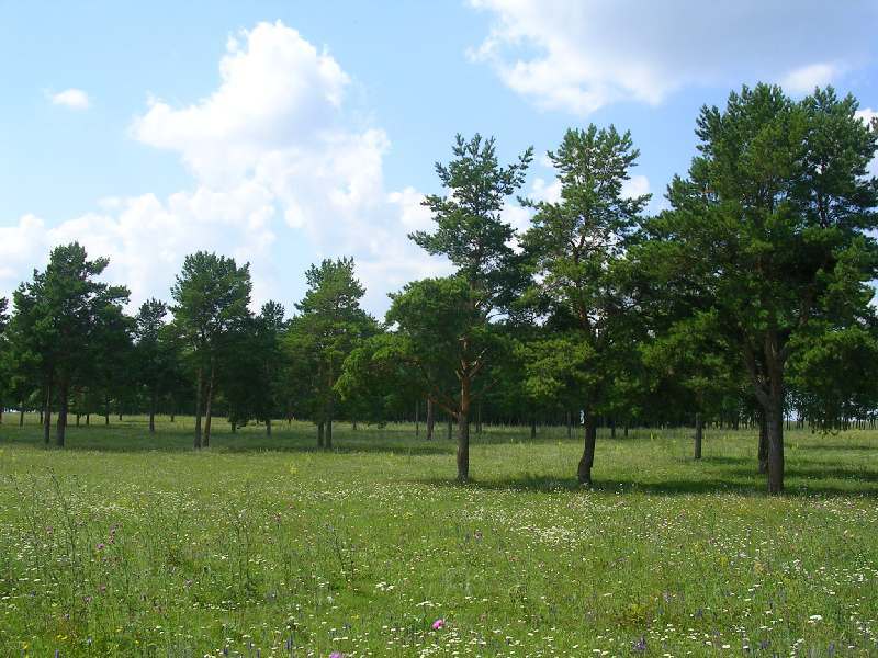 ����������-�� ������� ����