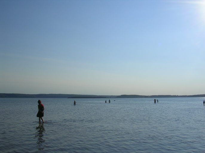 ����������-������ ���������?