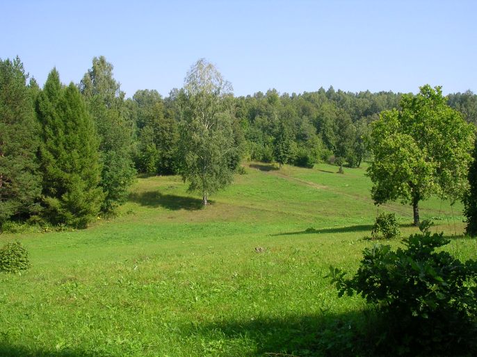 ����������-������