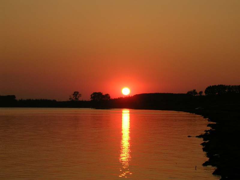 ����������-�����