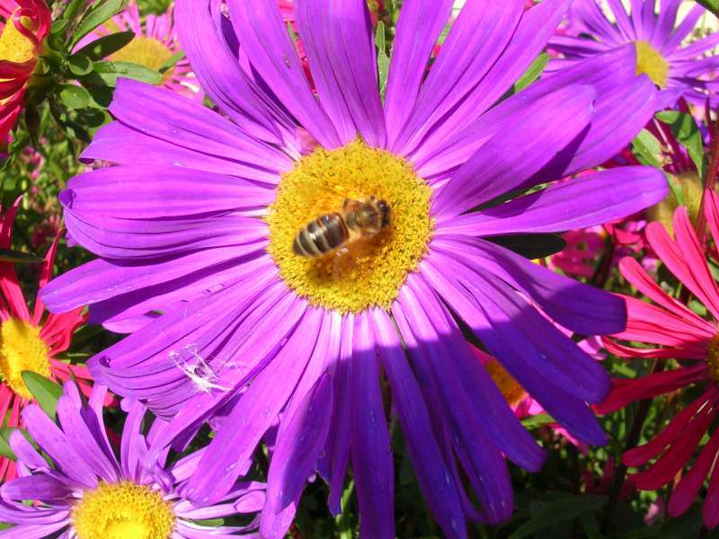 ����������-�����