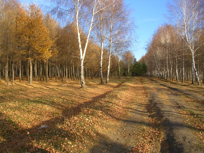 ����������-������