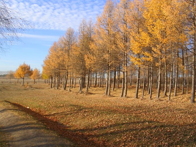 ����������-�������