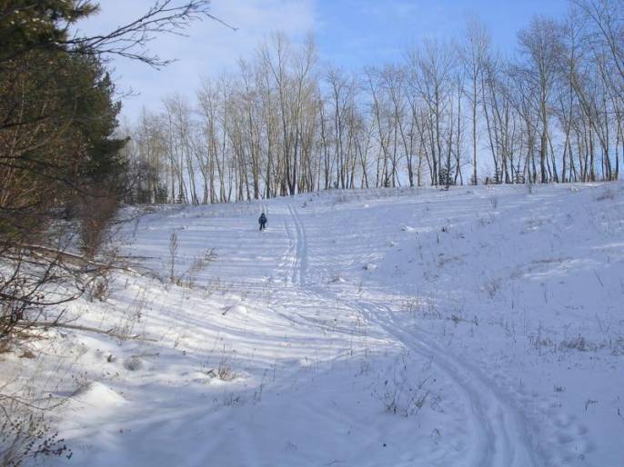 ����������-��� ��������