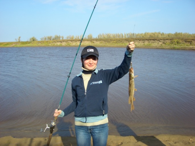 ����������-��� ��������