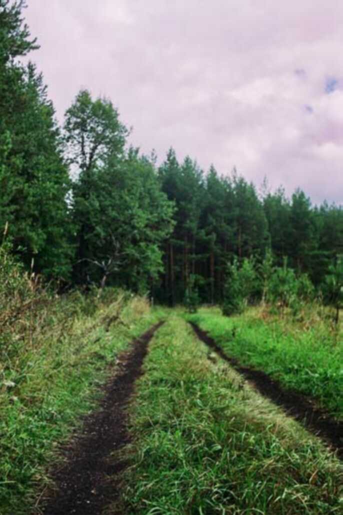 ����������-tomas131@yandex.ru